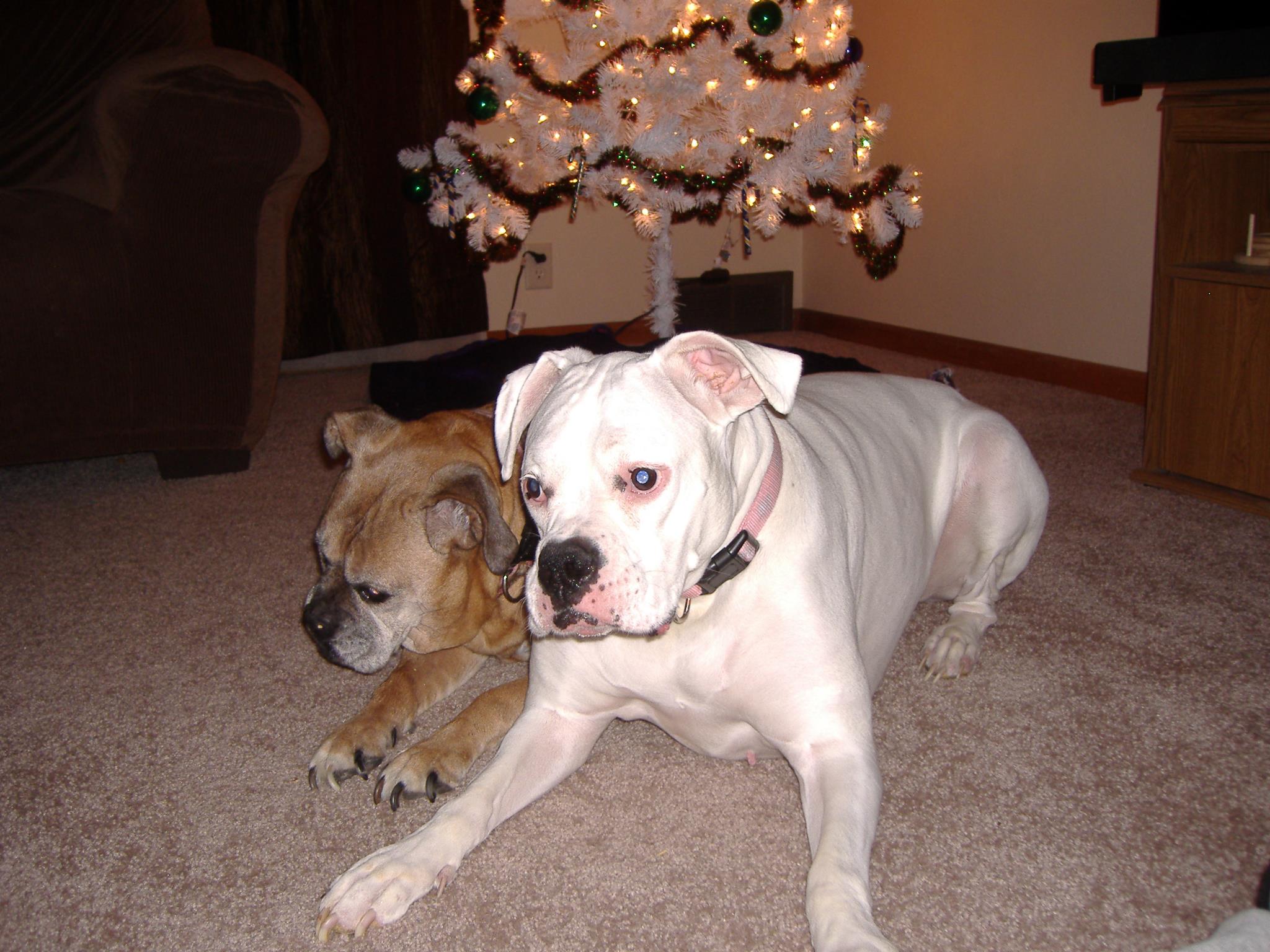Playing with her big sister Missy